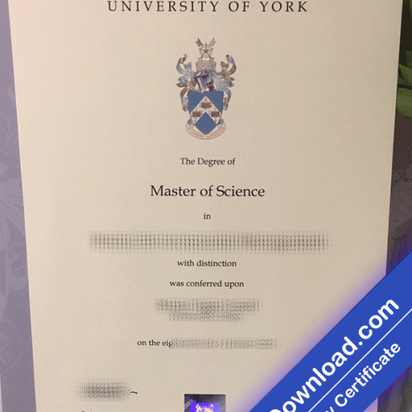 York University Template (psd)