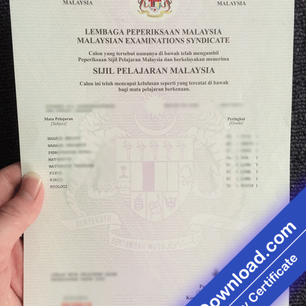 SPM University Template (psd)